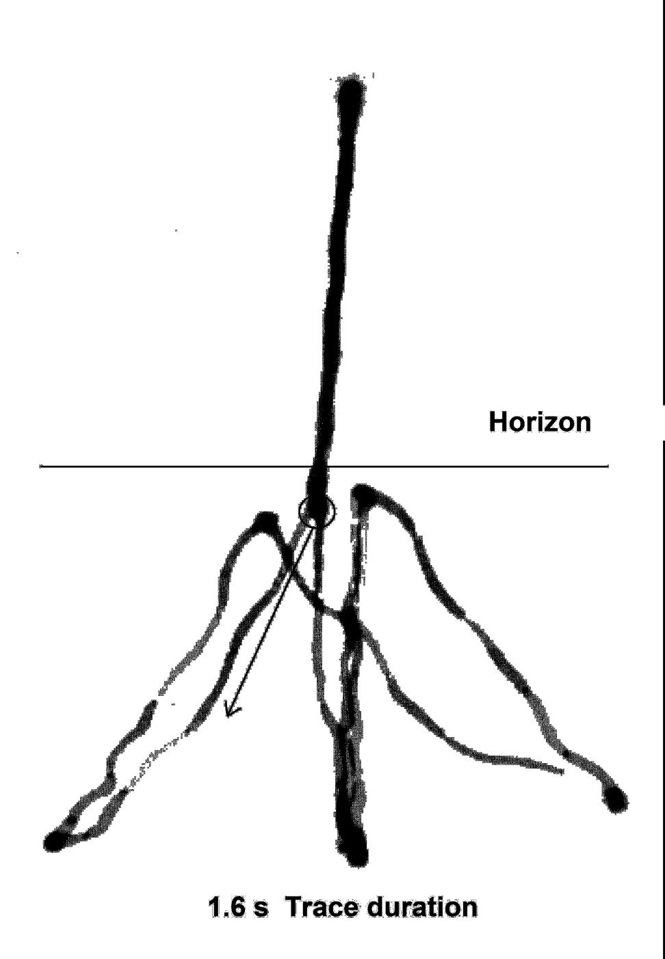 Figura 2.